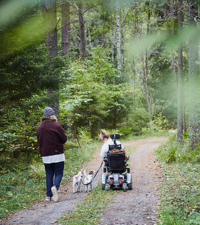 Enjoying the Woods