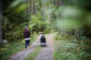 Enjoying the Woods
