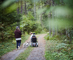 Enjoying the Woods