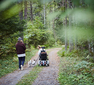 Den Wald genießen
