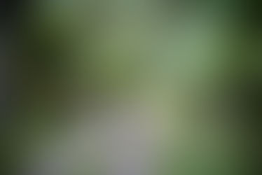 2026丙午年丁酉月(農曆八月) 乙木日主月運分析