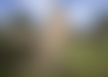 02/04: Storia, natura e acque in alta Valle Olona