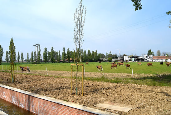 Tour bici parco Groane | FIAB Rho by bike | Rho