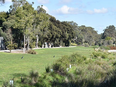 VoD -- 2024-08-10 Taralla Wetlands - 004_edited.jpg