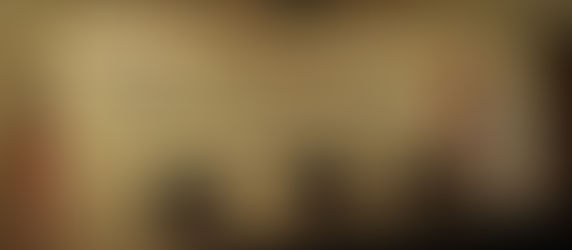 Illegal Laramie City Council Agenda Item