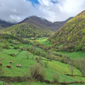 Spring in Asturias, Spain: A Guide to Northern Spain’s Most Underrated Season