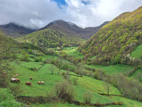 Spring in Asturias, Spain: A Guide to Northern Spain’s Most Underrated Season