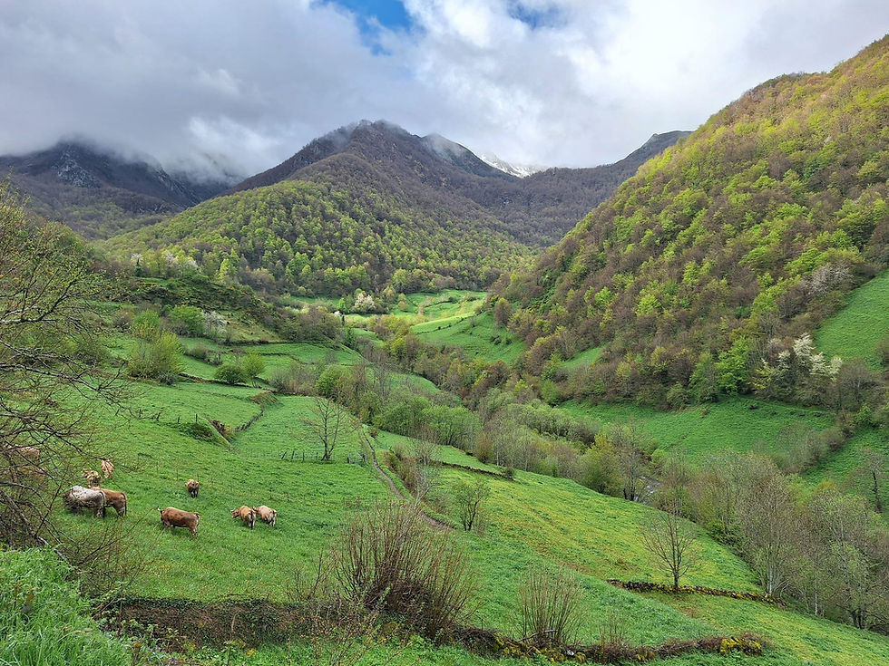 Spring in Asturias, Spain: A Guide to Northern Spain’s Most Underrated Season