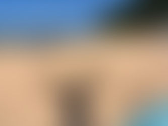 Renting With Pets in Asturias: What to Realistically Expect