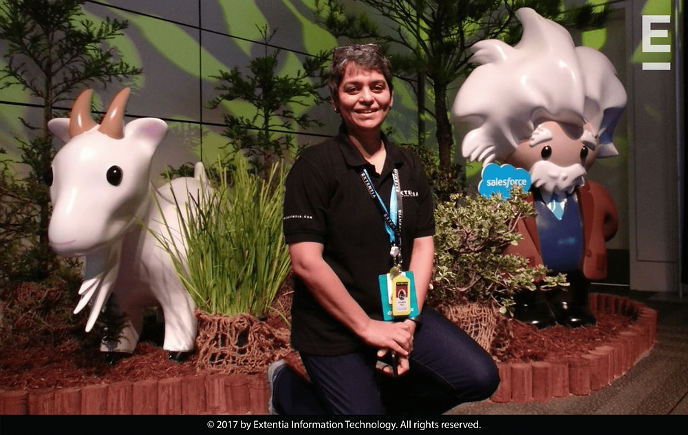 Extentia at Dreamforce 2017