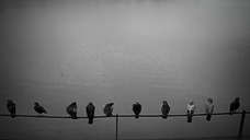 Liminal Press: A Community for Writers