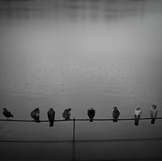 Liminal Press: A Community for Writers