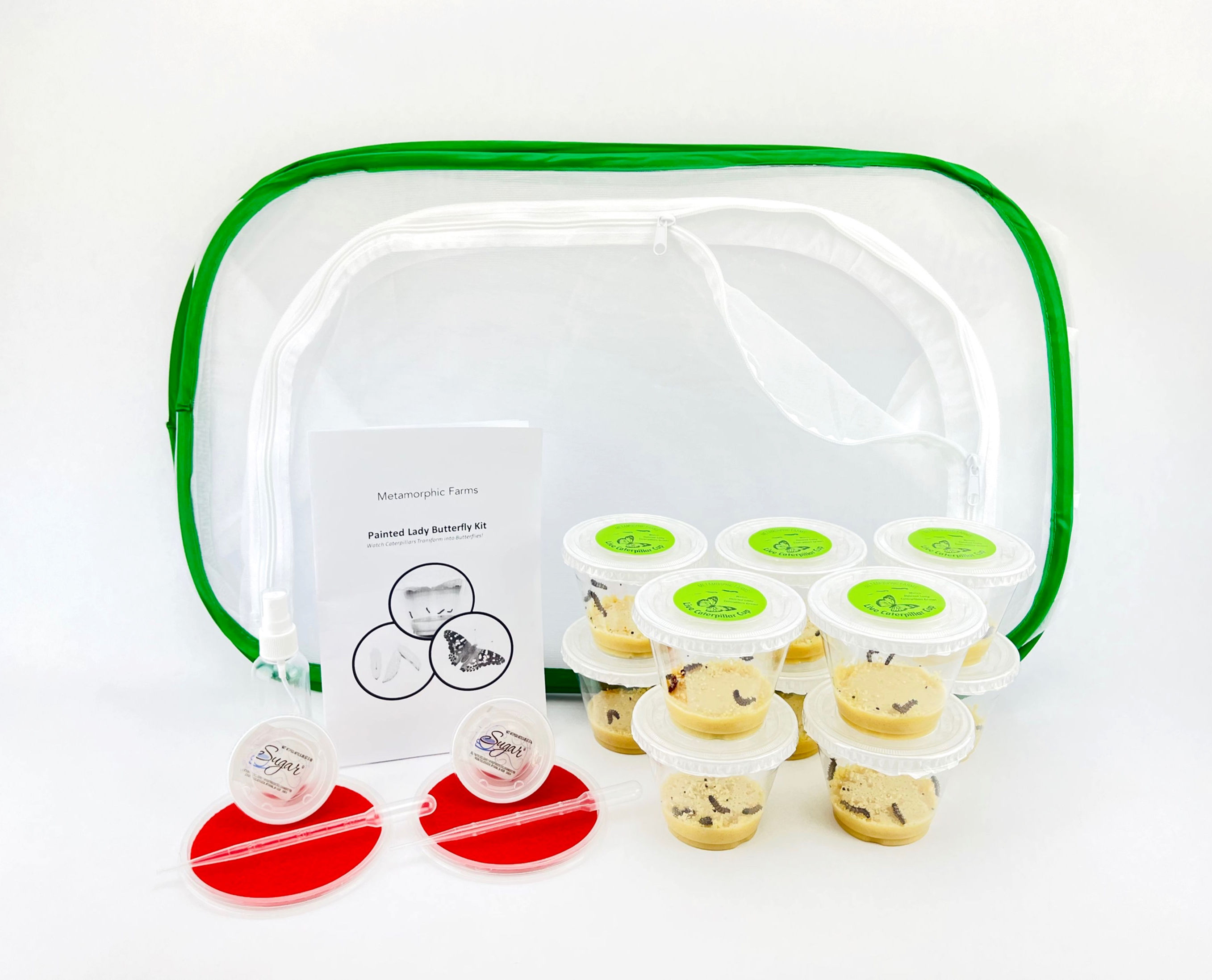 The Big Classroom Butterfly Kit - 40 Caterpillars