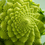 Thumbnail: Broccoli - Romanesco (JulieAnn Gardens)