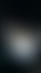 Crônicas #1: O nascimento do portal NOTA ALTA