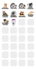 vistaPrevia.png