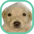 icono.png