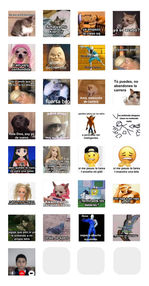 vistaPrevia.png