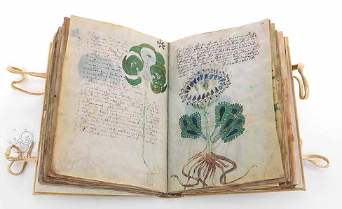 VoynichManuscriptBook.jpg