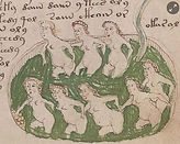 Voynich717.jpg