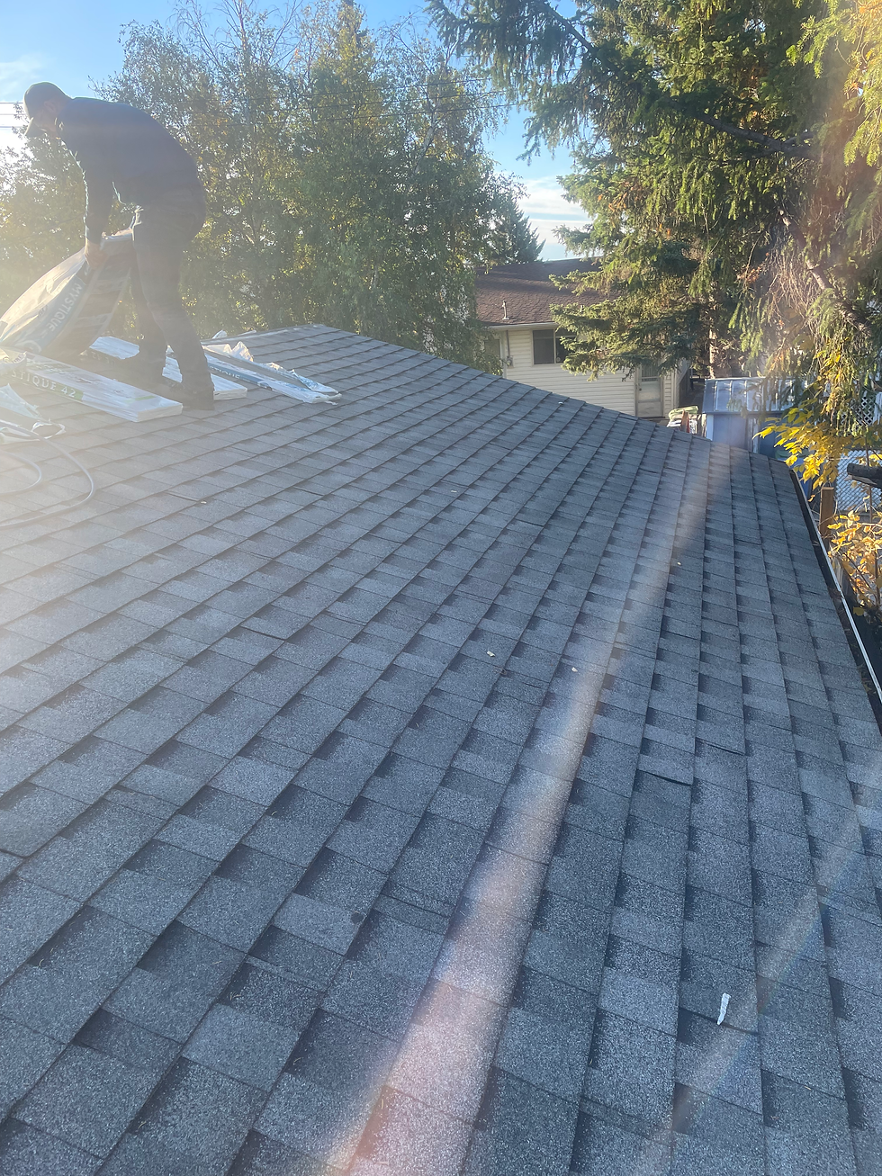 Shingled Roof