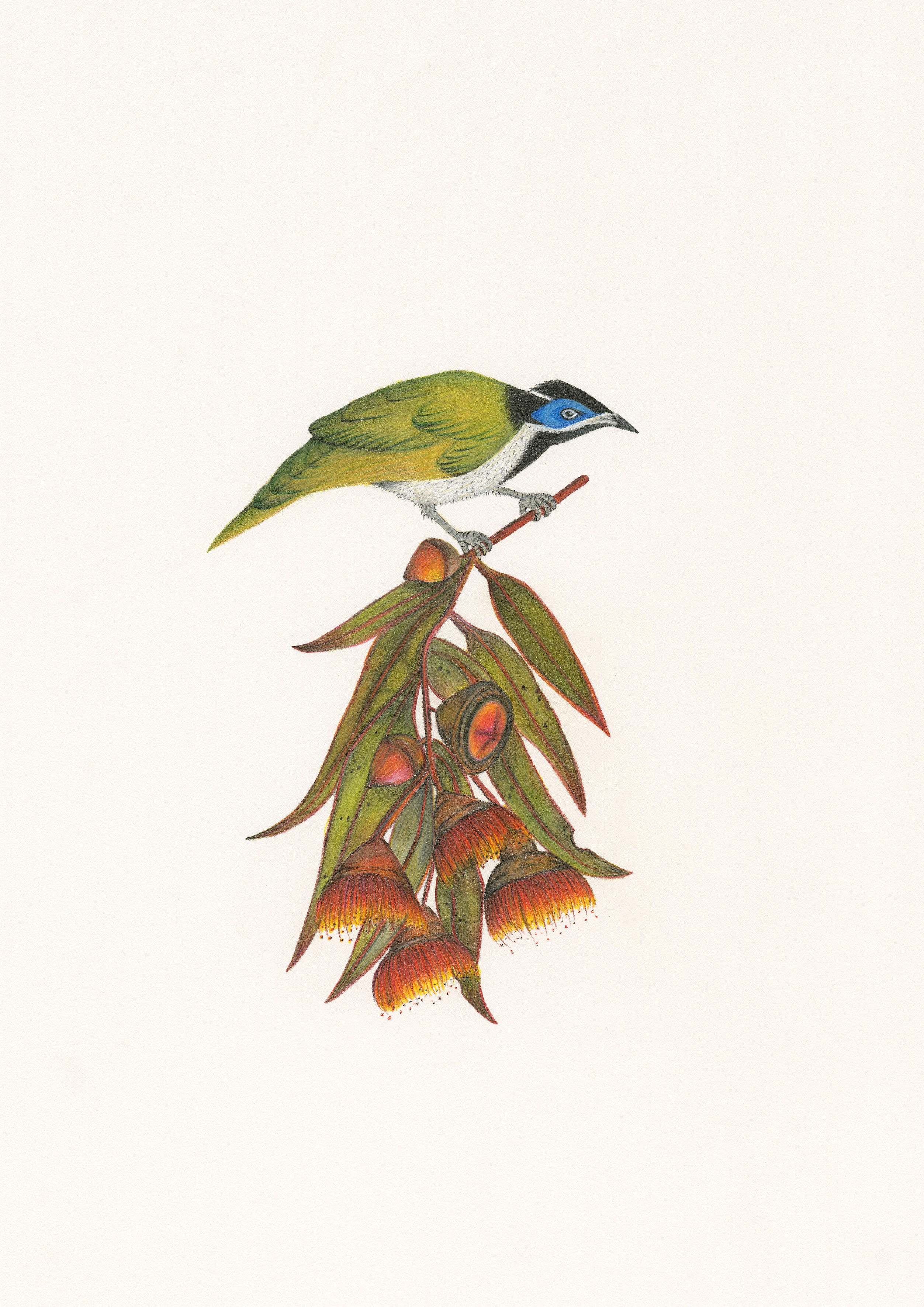 "Sweet Like Honey" Giclee Print