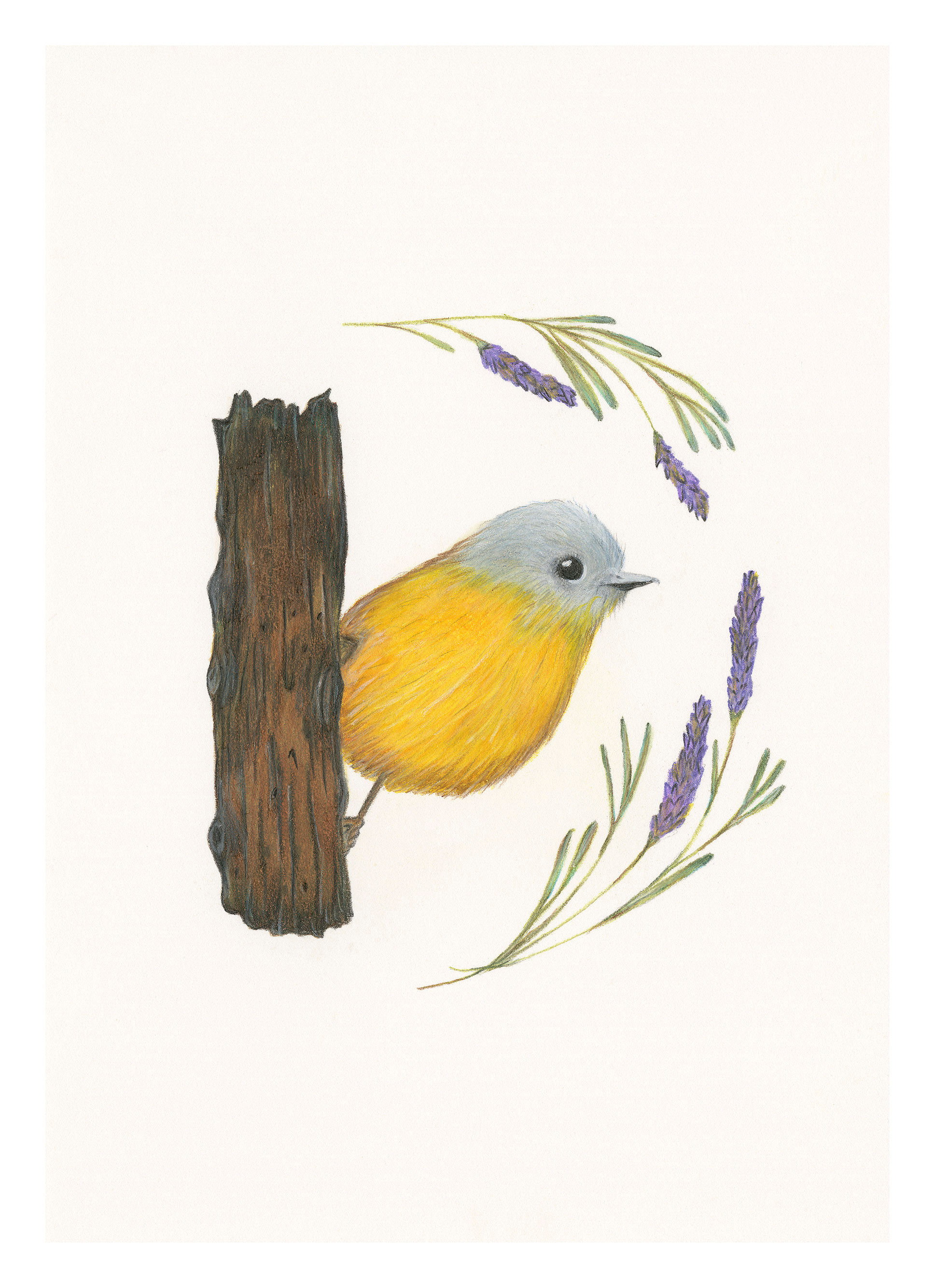 "See My Light" Giclee Print