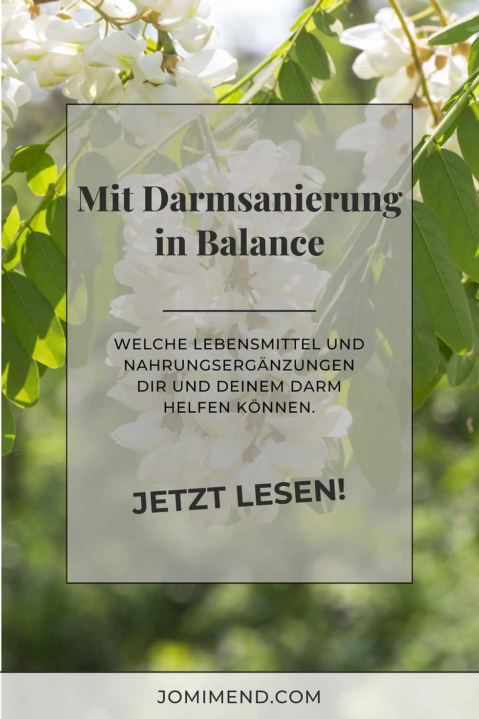 Darmsanierung trägt zum Wohlbefinden bei, Blaetter am Baum