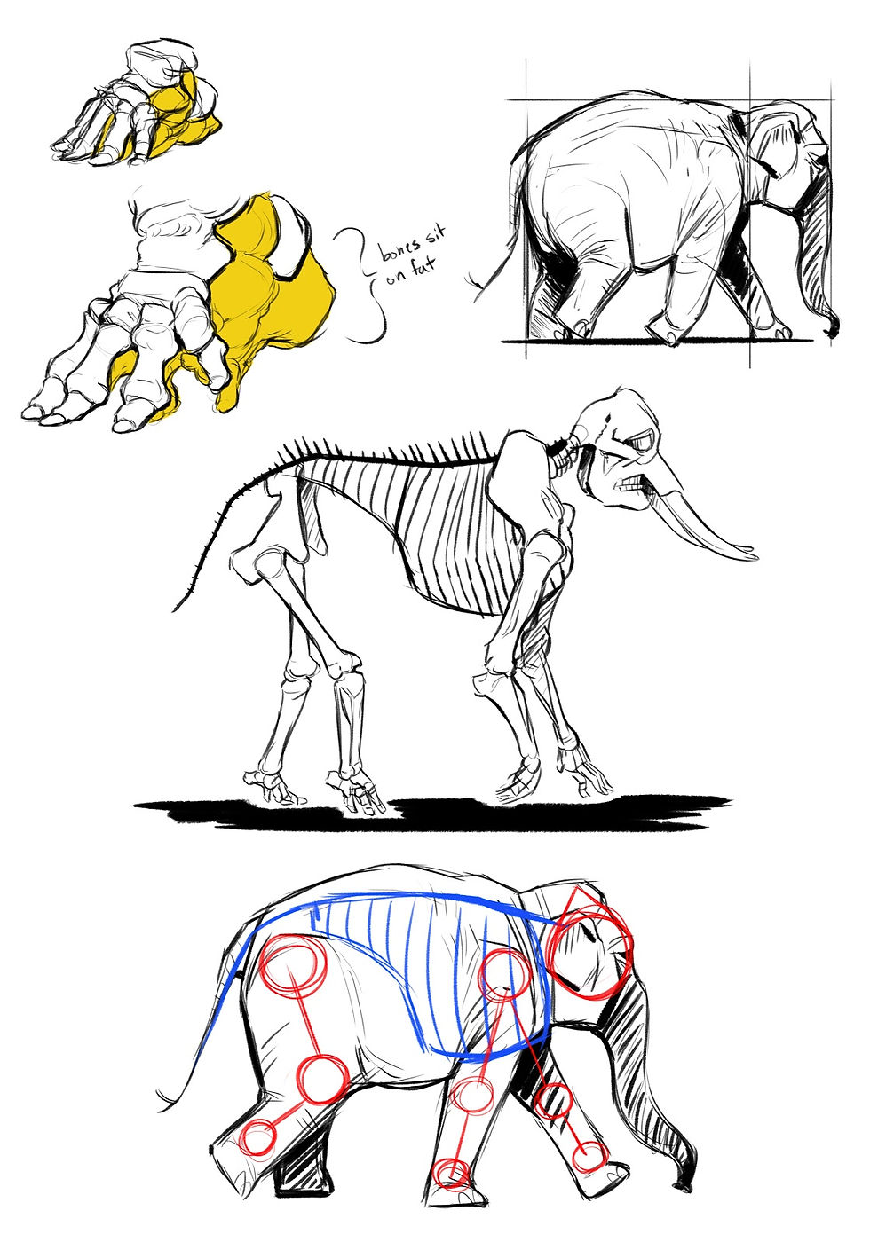 elephant.jpg