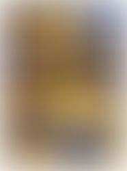 7/24(金)お休みです