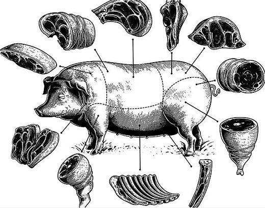 hog.jpg