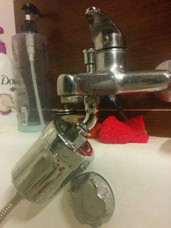 HYDRO GUARD SHOWER FILTER