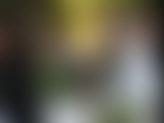 The Magic of Solo Violin: Why Couples Choose Live Music for Their Wedding Ceremony