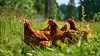 AdobeStock_1540934066.jpeg