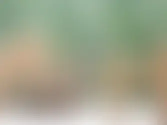 Whatever happened to pension simplification?