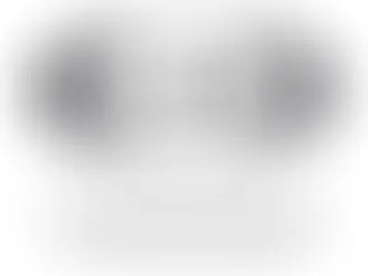 BUDGET 2025 – ECONOMIC & FISCAL ASPECTS