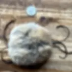Thumbnail: Furwhisker Cat Toy (FWCT-020)