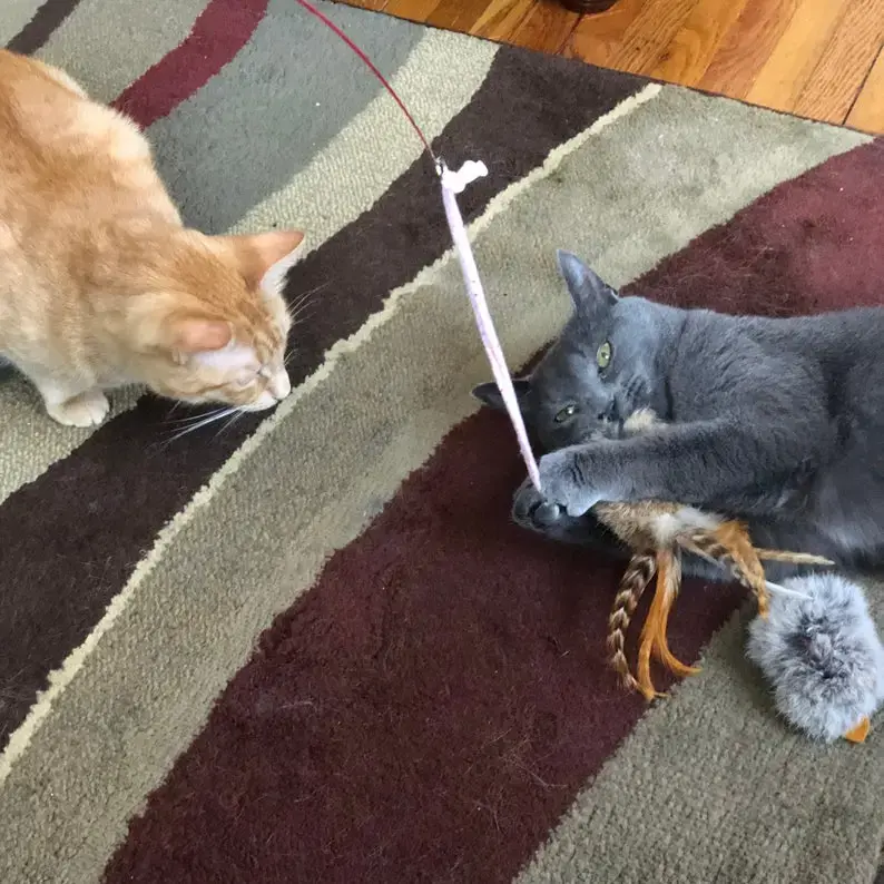 Thumbnail: Cat-Fishing Retractive Extra Sturdy Pole Toy extends to 34"