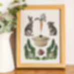 láminas de decoración
