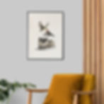 láminas decorativas para pared