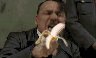 gif7.gif