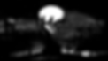 cocoon ping no text.png