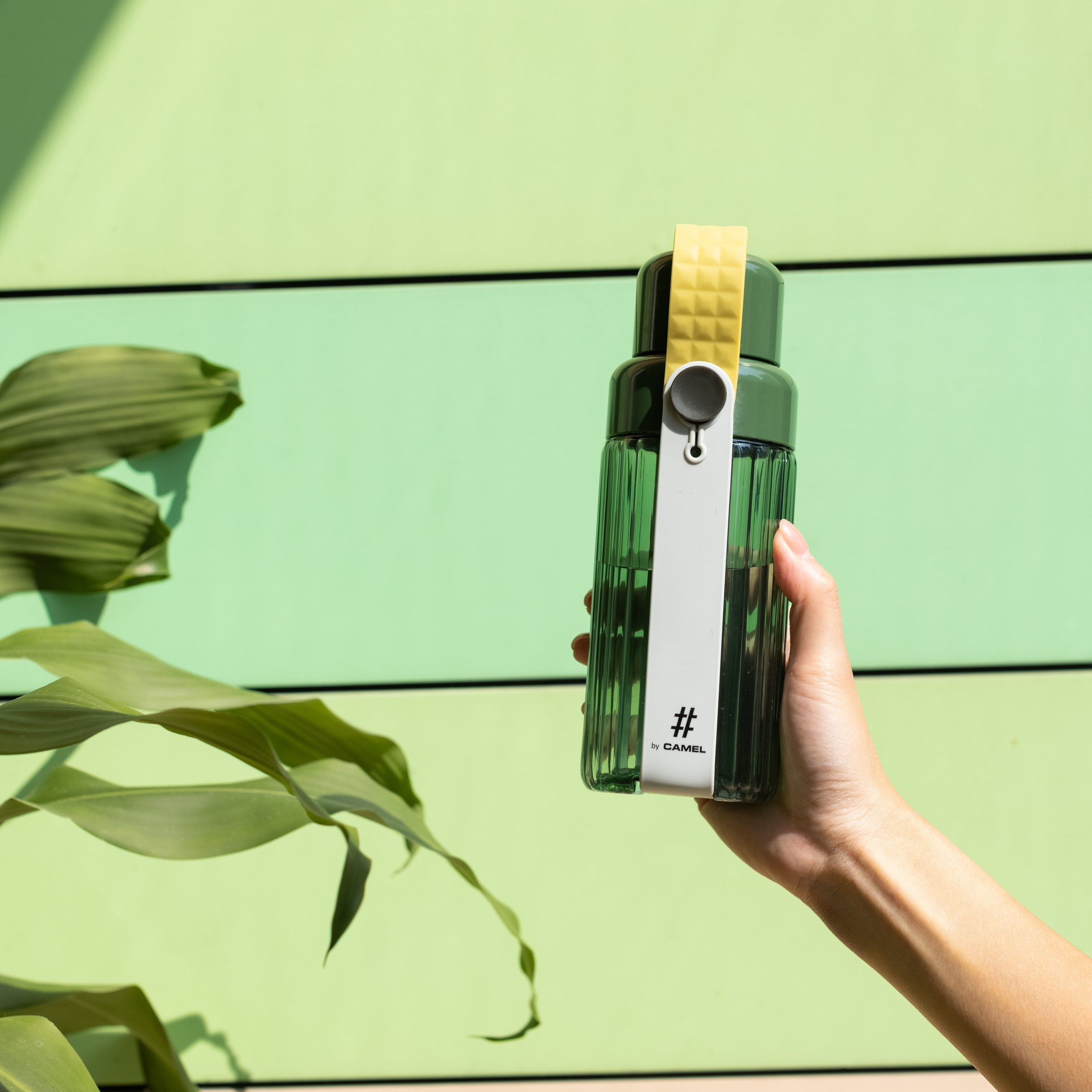 CAMEL SPLASH 50 (FREN GREEN)