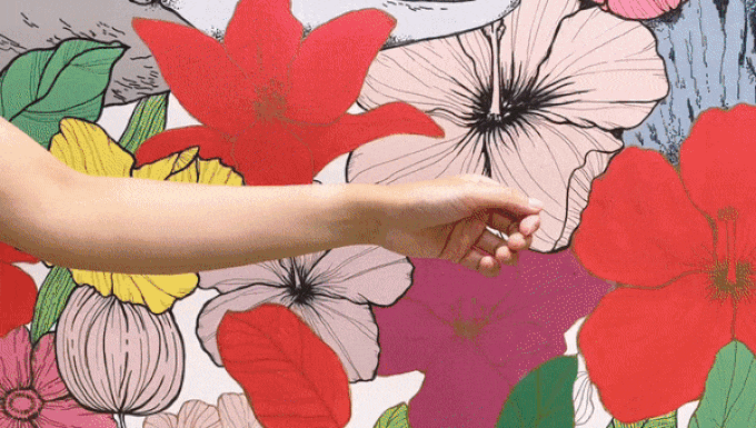 SNAP anytime (1).gif