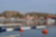 DSC_0311.JPG