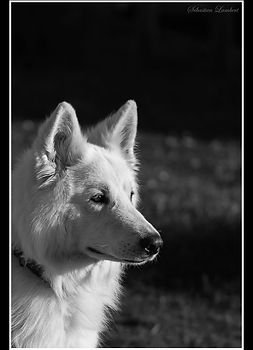 IMG_1111.JPG