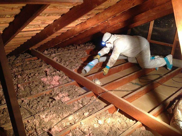 insulation-removal-1.jpg