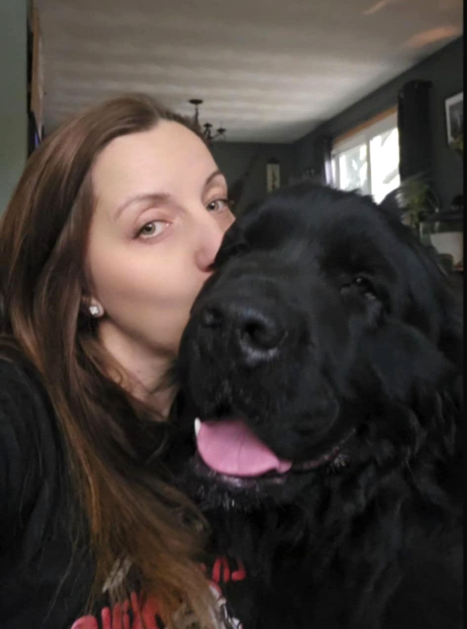 Riddle family Newfoundlands