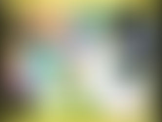 「芙蓉=ふよう=浮揚」の花・・・