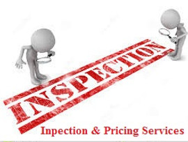 Inspection services.jpg